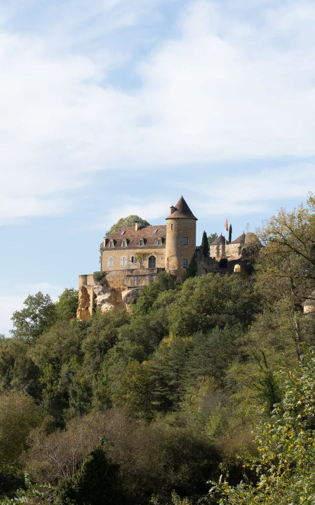 View of Milhac castle from a distance