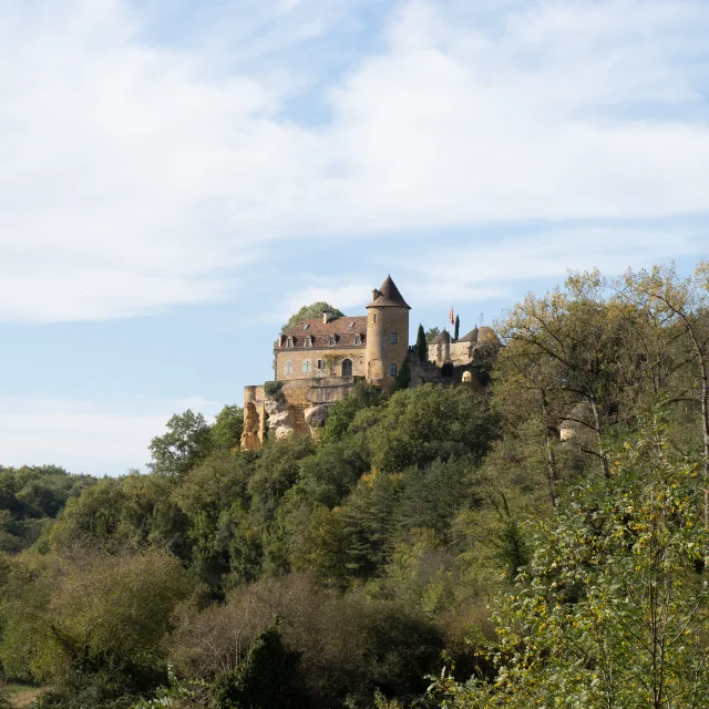 View of Milhac castle from a distance