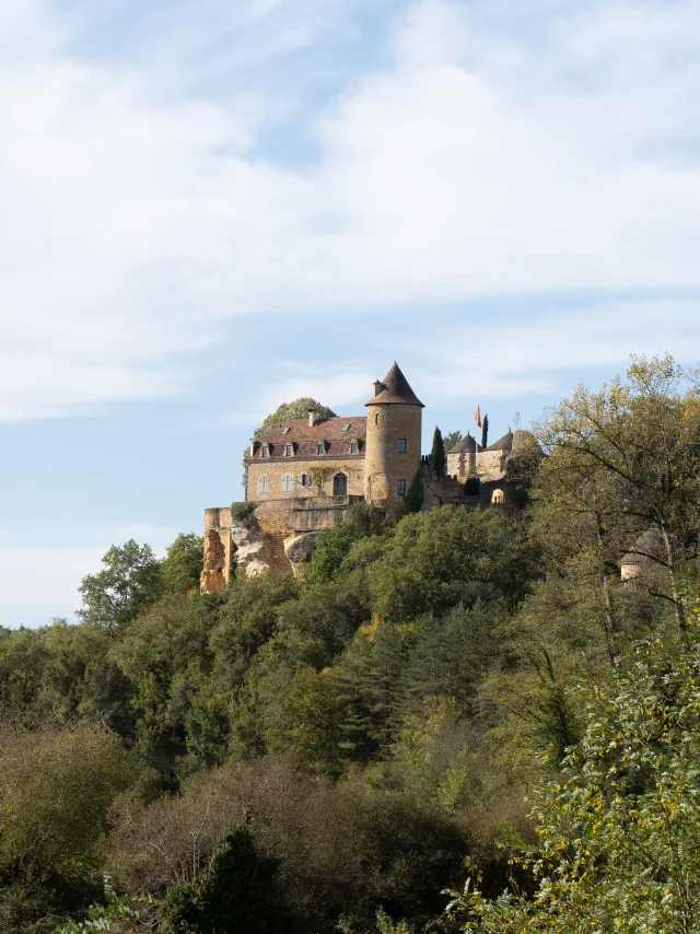 View of Milhac castle from a distance