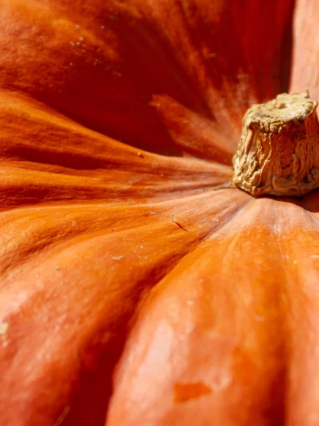 Citrouille