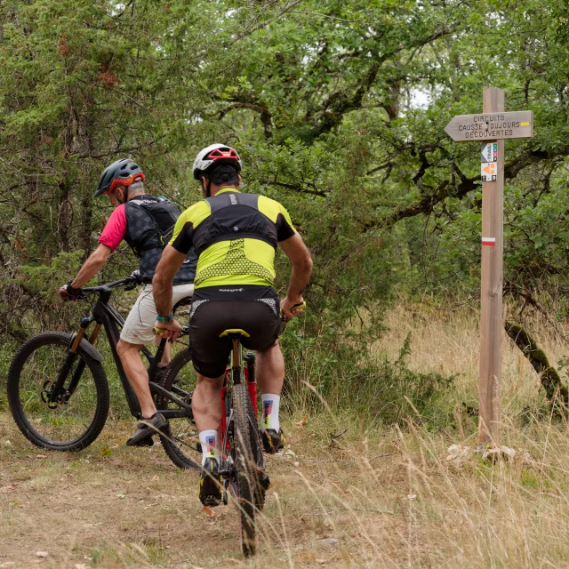 VTT Pech Curet