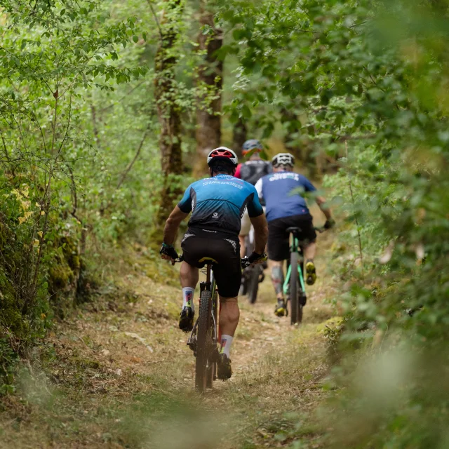 VTT Pech Curet
