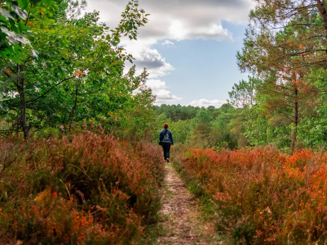 Landes du Frau ENS