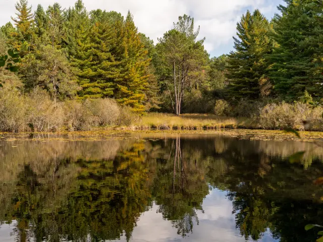 Landes du Frau ENS