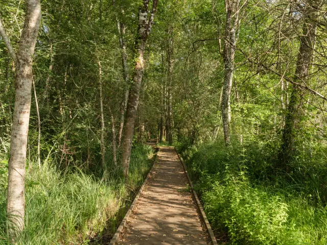 Espace Naturel Sensible vallée de la masse ENS