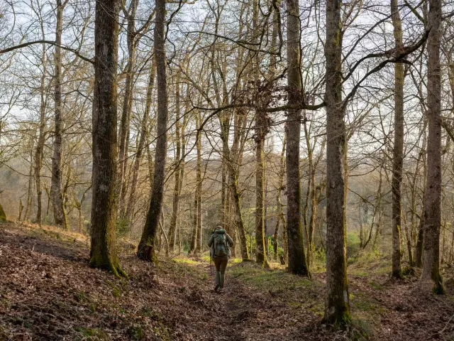 Chemin du Dégagnazes