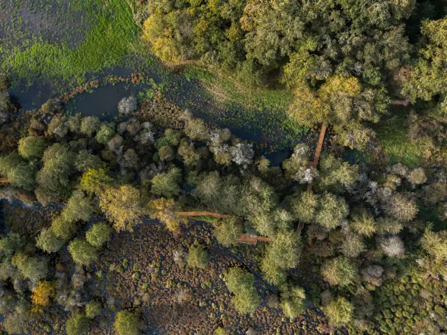Vue drone des marais de la Masse