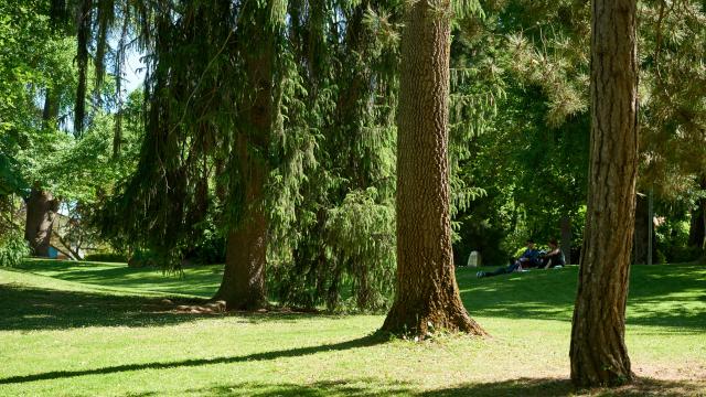 Jardin des plantes de Montauban