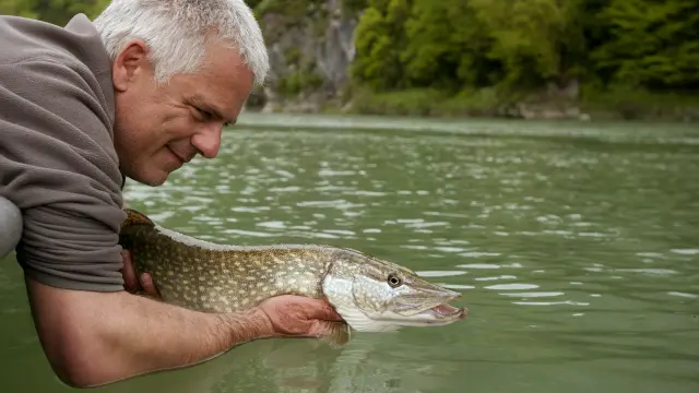 Pêche Des Carnassiers En Bateau
