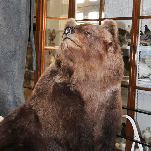 Csm Nenette 53b34126b6