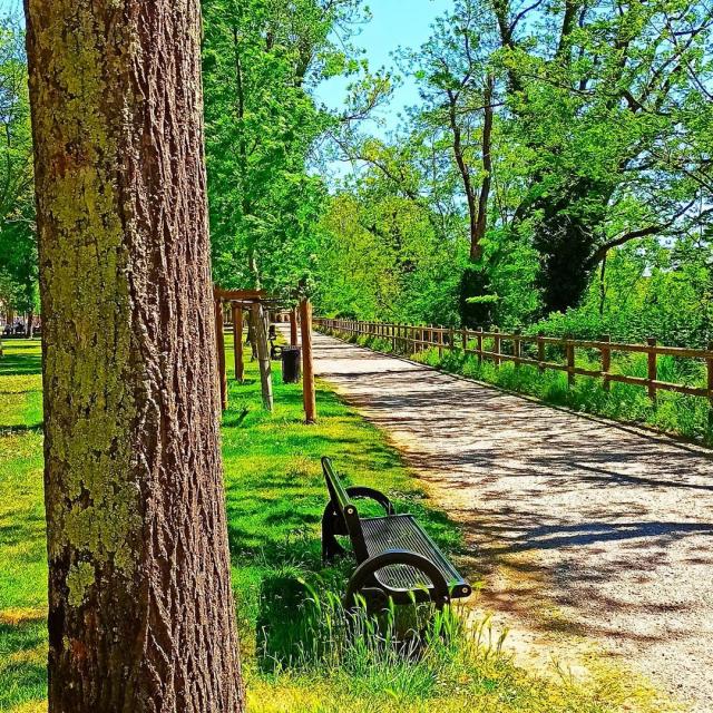 Cours Foucault Montauban