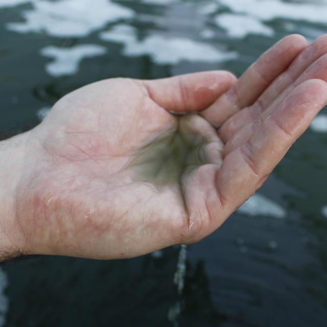 Spiruline 7
