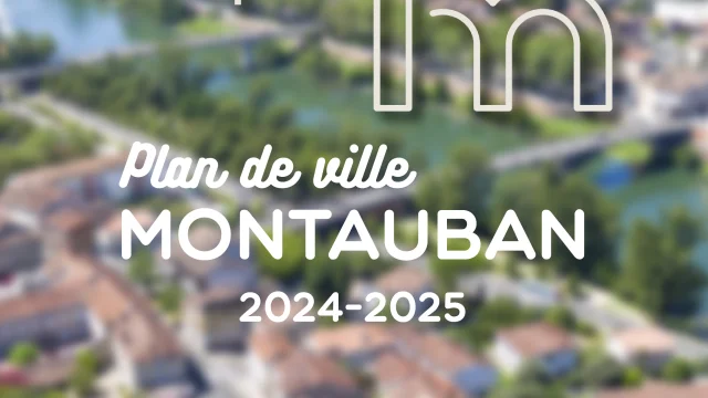 Mapa visual de la ciudad para el sitio web