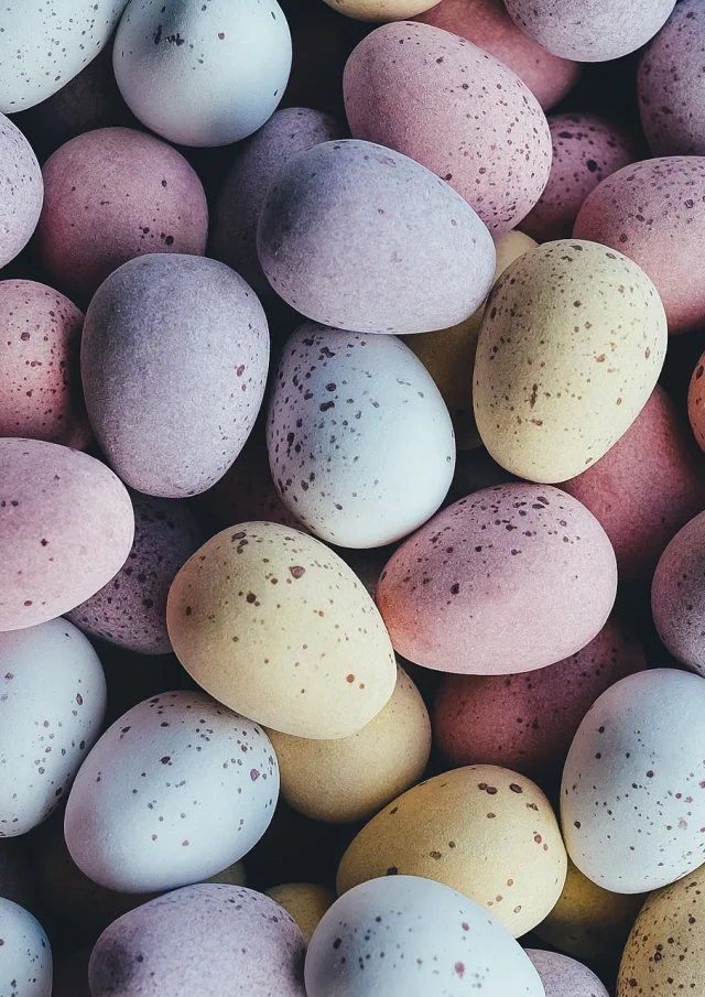 chasse aux oeufs de pâques à montauban