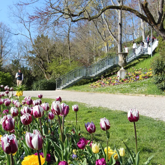 Patrimoine Jardindesplantes@montaubantourisme 22 Rotated