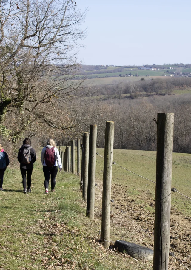 Heritage Pr6@montaubantourism 15