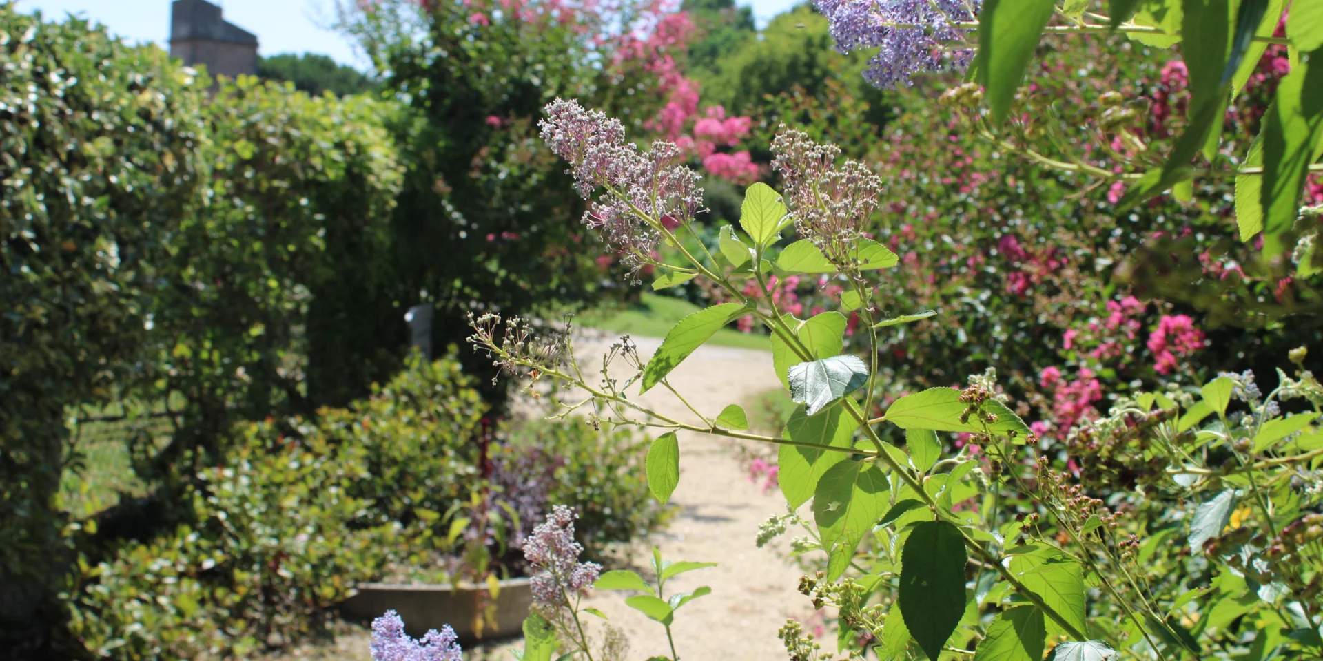 Villegmca Jardindelaroque@montaubantourisme23