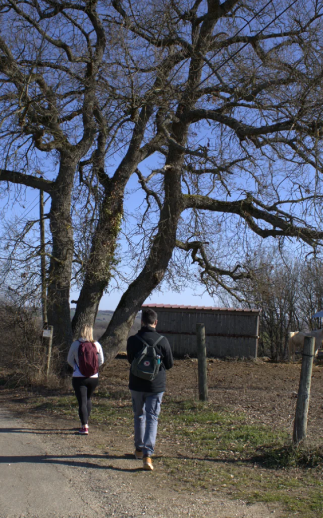 Patrimoine Pr6@montaubantourisme 6