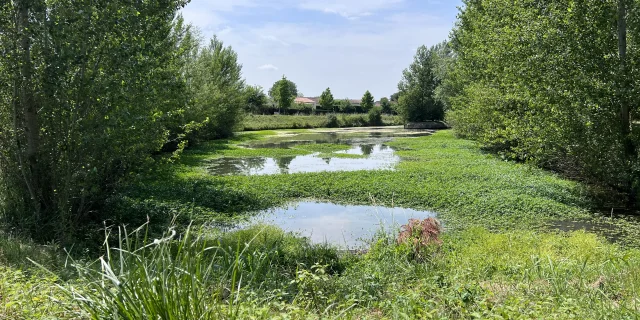 Villegmca Nature@montaubantourism 5