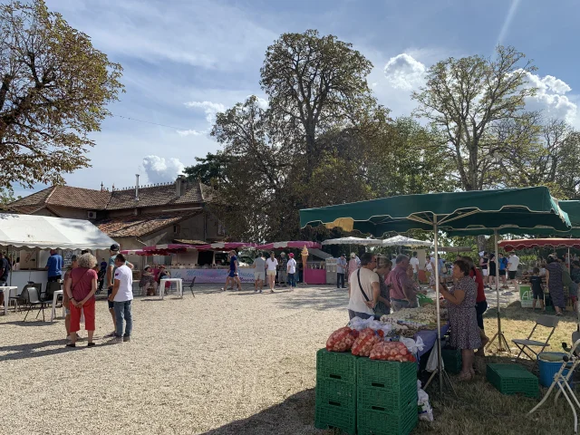 Fete Des Vendanges @lauriane Donzelli 38