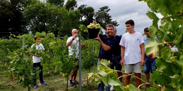 Fetes Des Vendanges @ Domaine De Montels 1