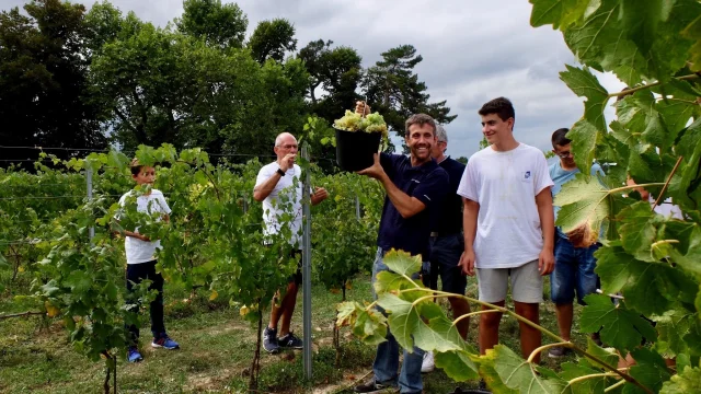 Fetes Des Vendanges @ Domaine De Montels 1