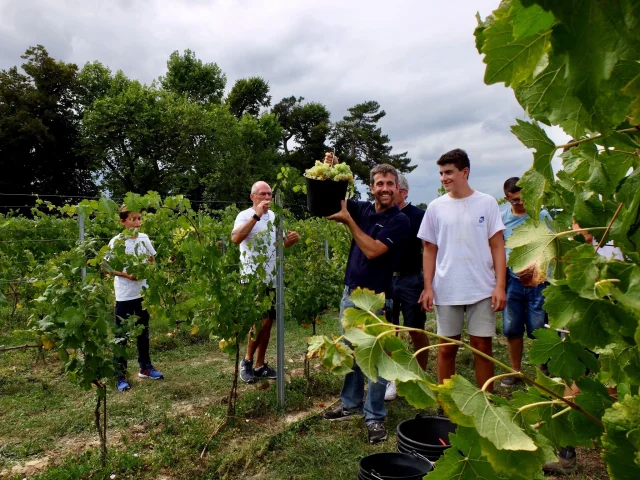 Fetes Des Vendanges @ Domaine De Montels 1