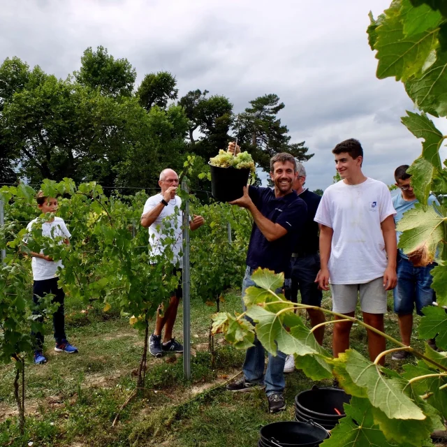 Fetes Des Vendanges @ Domaine De Montels 1