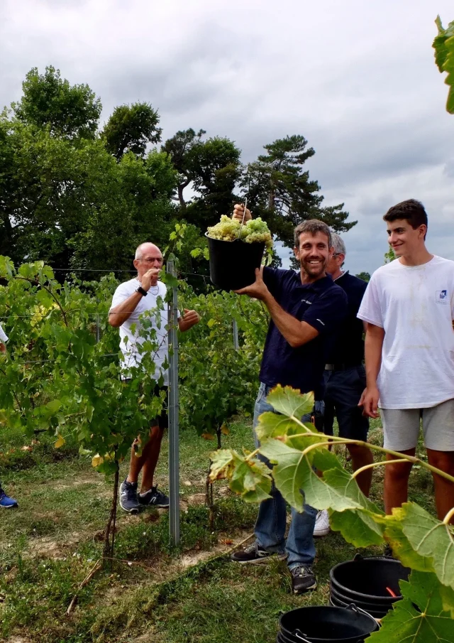 Fetes Des Vendanges @ Domaine De Montels 1