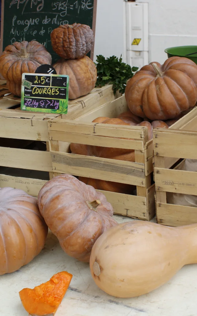 Evenements Alleesdelempereur@montaubantourisme 5