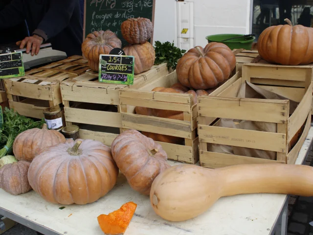 Evenements Alleesdelempereur@montaubantourisme 5