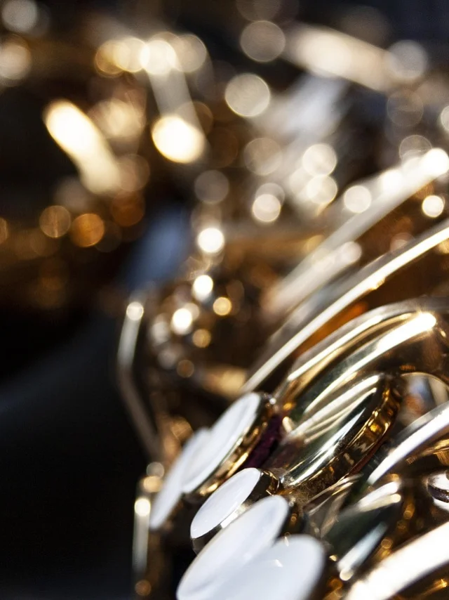 Saxofón@julia Mastritsch De Pixabay