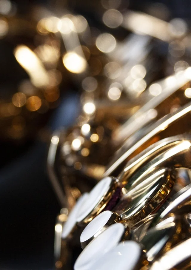 Saxophone@julia Mastritsch From Pixabay