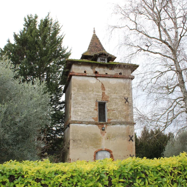 Villegmca Pr1sentiergaronne@montaubantourisme 110
