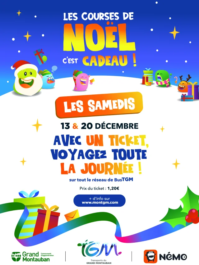 Affiche A4 Campagne Noel