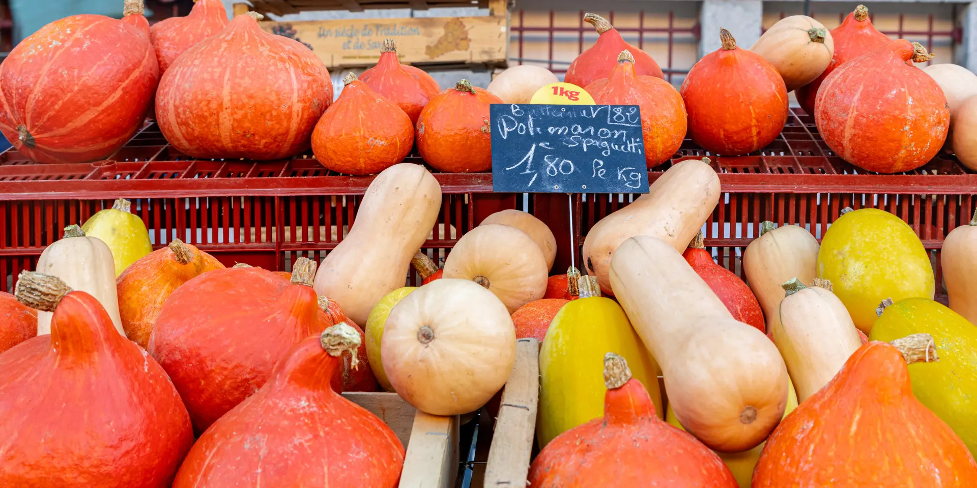 Autumn Market 10 2025@signelr Exclusive Rights 5 years 4