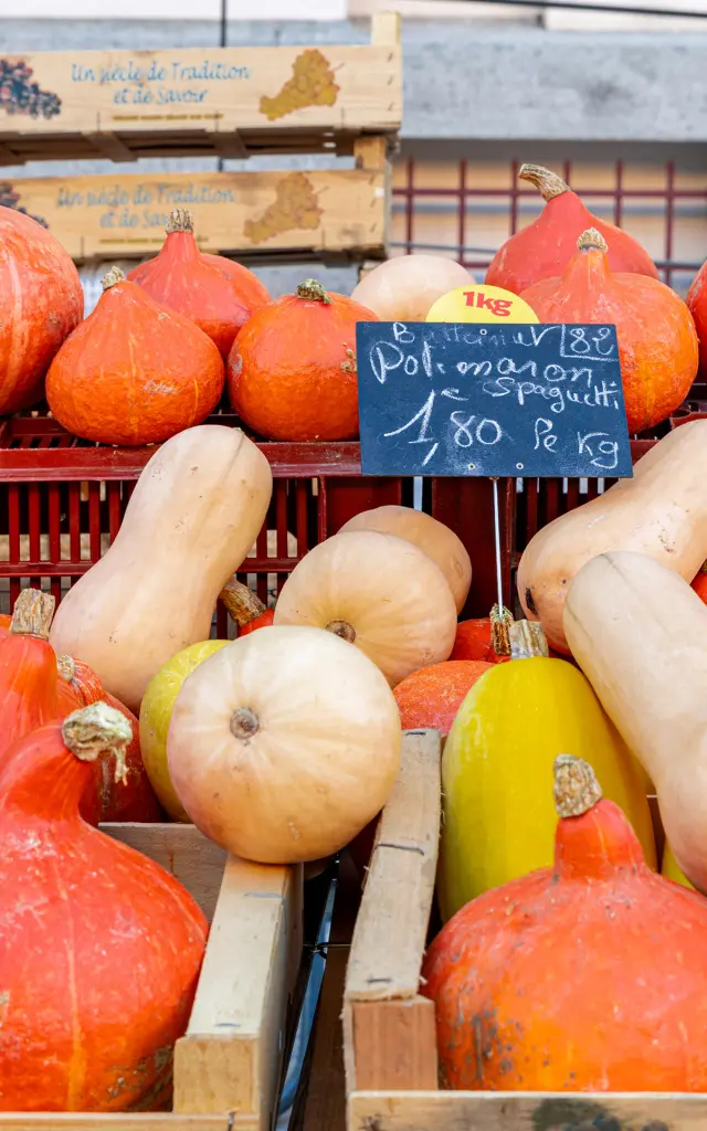 Autumn Market 10 2025@signelr Exclusive Rights 5 years 4