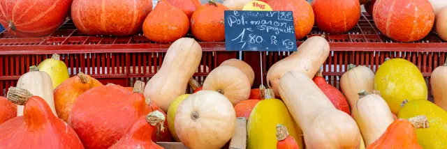 Marche Automnal 10 2025@signelr Droits Exclusifs 5ans 4