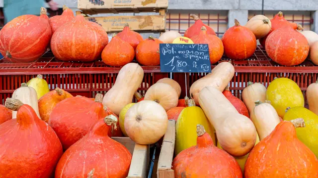 Autumn Market 10 2025@signelr Exclusive Rights 5 years 4