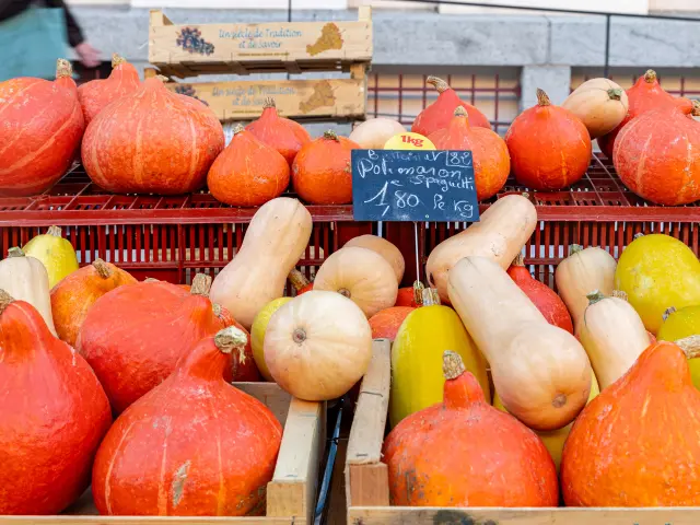 Autumn Market 10 2025@signelr Exclusive Rights 5 years 4