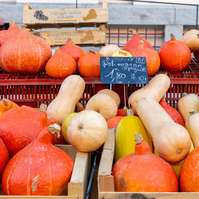 Autumn Market 10 2025@signelr Exclusive Rights 5 years 4