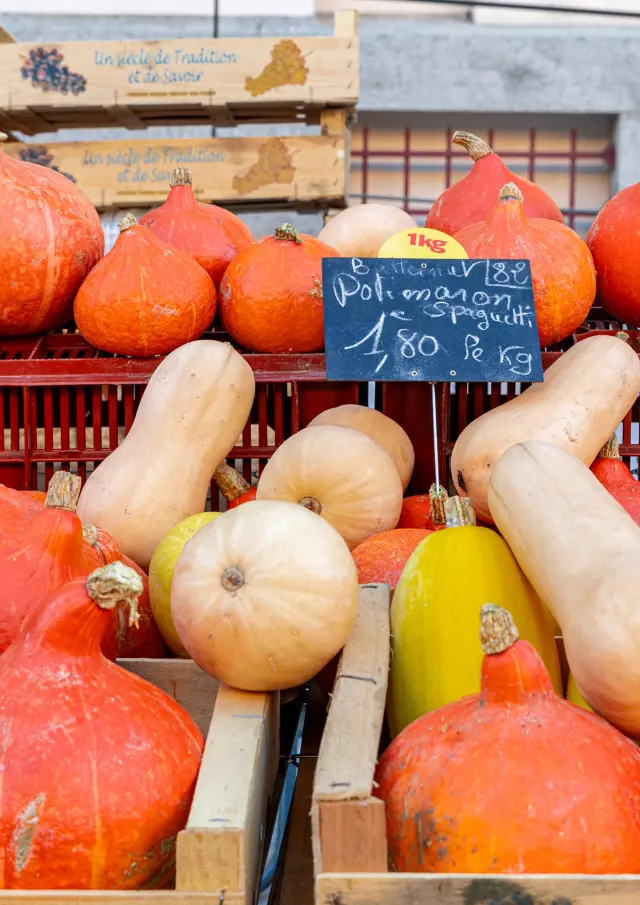 Autumn Market 10 2025@signelr Exclusive Rights 5 years 4