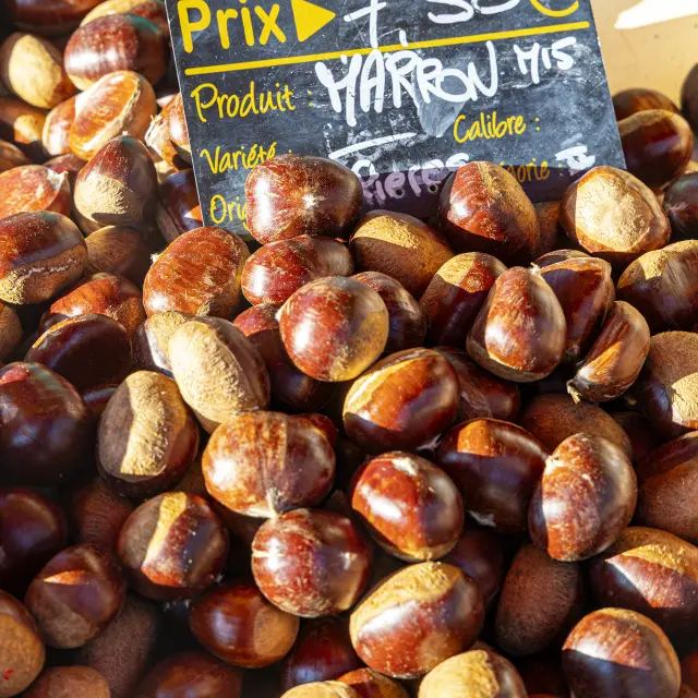 Mercado de otoño 10 2025@signelr Derechos exclusivos 5 años 6