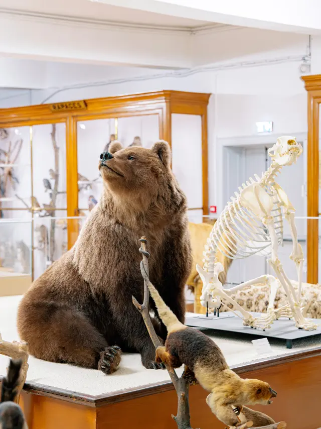 Janvier Museum 5@lr Photographie