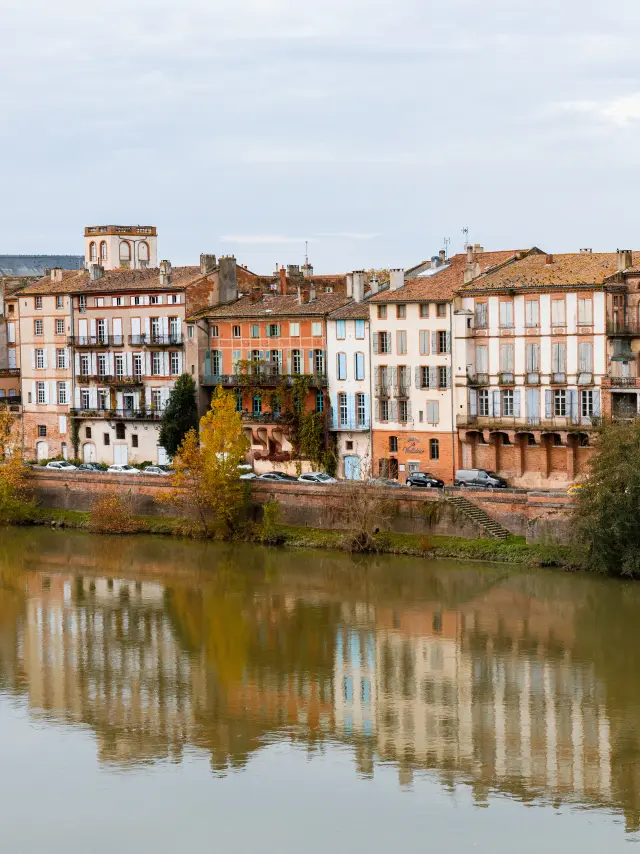 Autumn Season, 25 November 16
