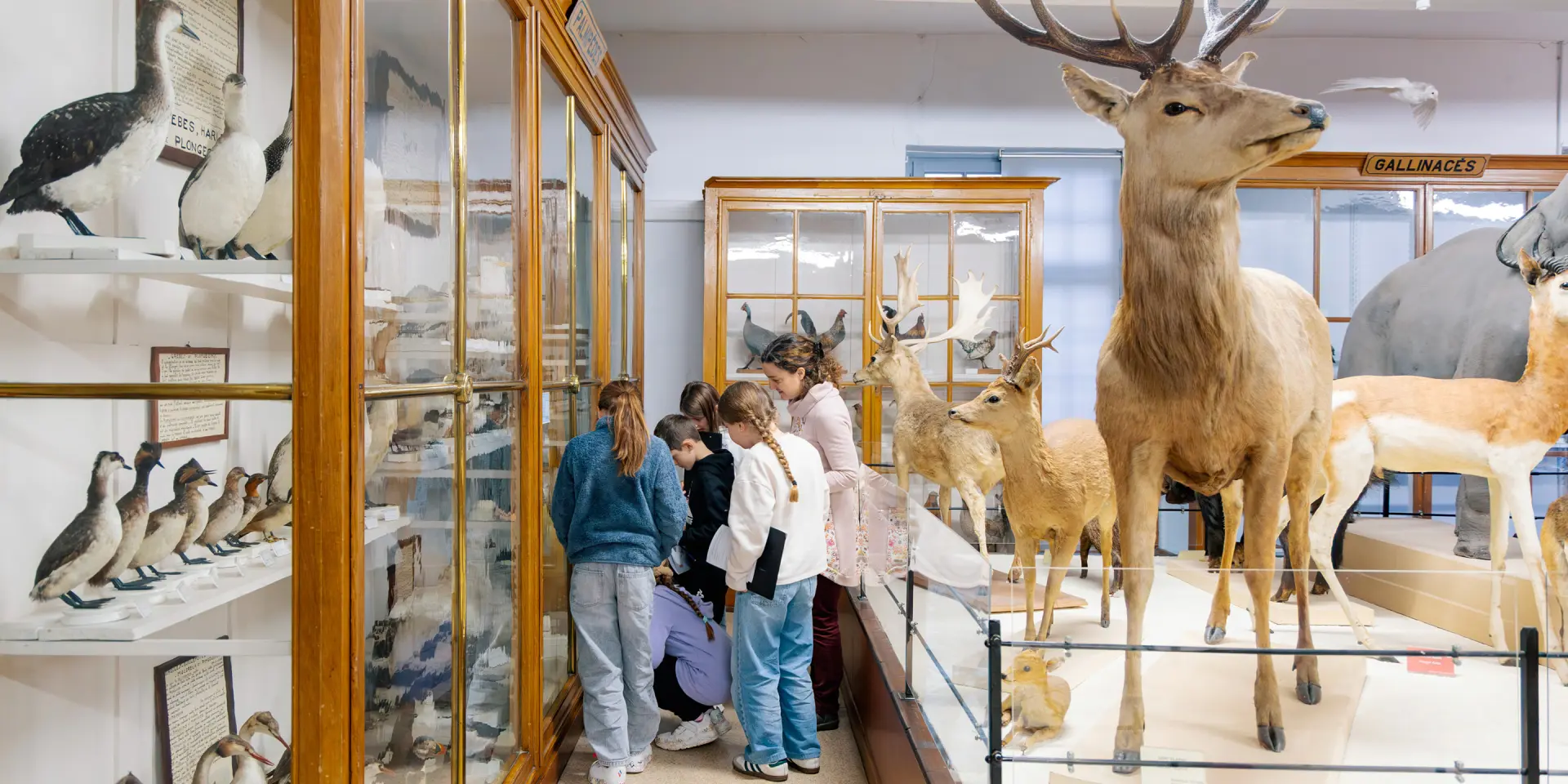 January Museum 10