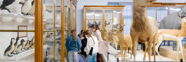 Janvier Museum 10