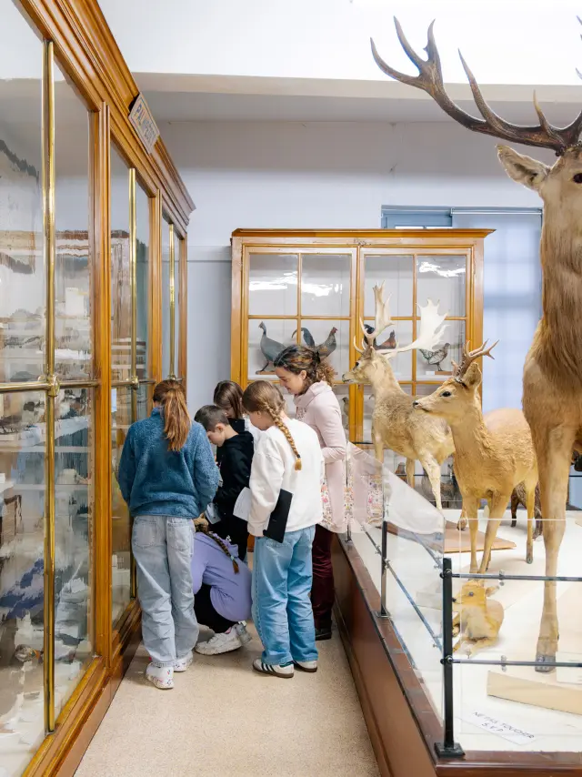 January Museum 10
