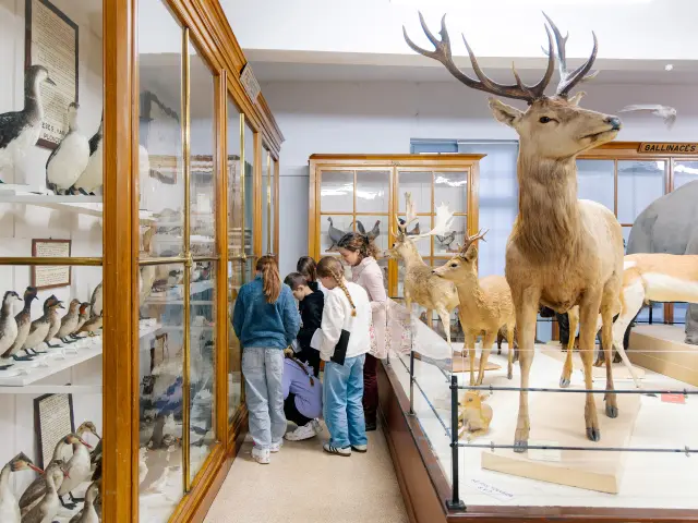 January Museum 10