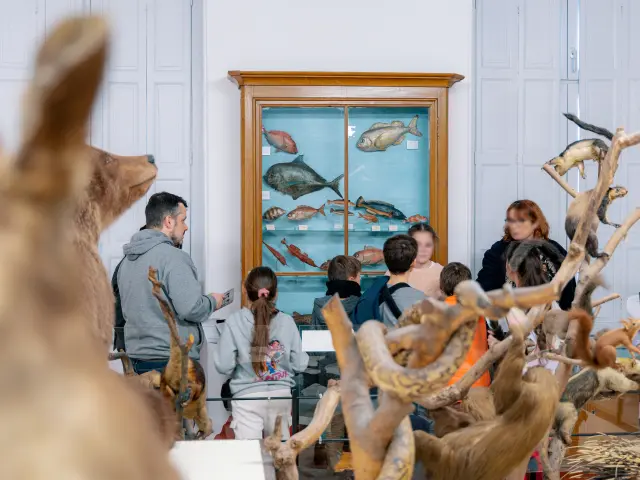 January Museum 15